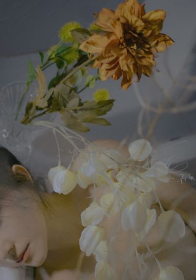 芈月传电视剧在线观看免费高清
